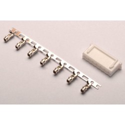 Connector : male 6S XH Balancer (10pcs)