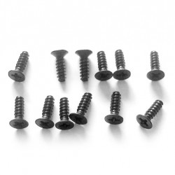 TPF Flat Cross Screws 3x10 (12pcs)