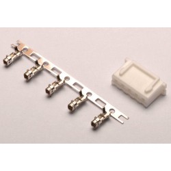 Connector : male 4S XH Balancer (10pcs)