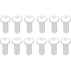 DISC.. TM 3x10mm B-Head Hex Screw (12pcs) for Mad Monster 1/6