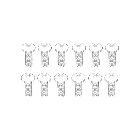 DISC.. TM 3x10mm B-Head Hex Screw (12pcs) for Mad Monster 1/6