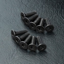 Countersunk screw M3X10 (10)