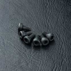 Cap screw M3X6 (6)