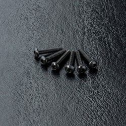 Round head screw M2X10 (6)