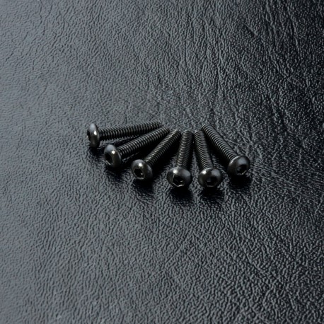 Round head screw M2X10 (6)