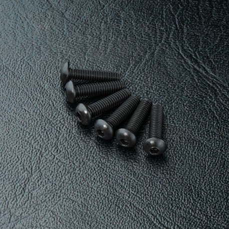 Round head screw M2.5X10 (6)