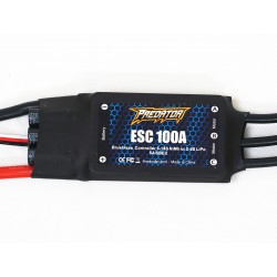 100A ESC (Hobbywing)