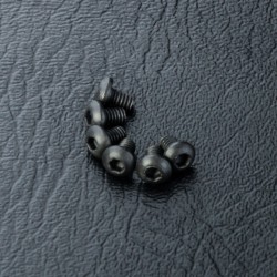 Round head screw M2X3 (6)