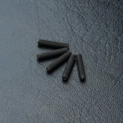 Set screw M2X10 (5)