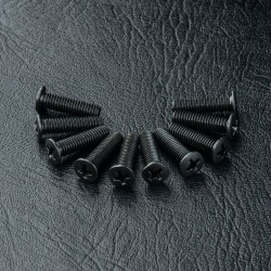 Flat head screw M3X11 (10)