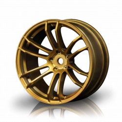 Gold TSP wheel (+5) (4)