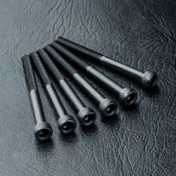 Cap screw M3X35 (6)