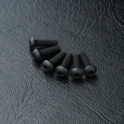 Round head screw M2.5X8 (6)