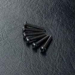 Round head screw M2X12 (6)