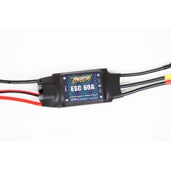 60A ESC (Hobbywing)