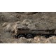 Military Scaling kit - XX10 T-REX 1/12 10x10 truck