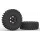 Crawling kit - NT4 1/10 RTR Kit (grey)