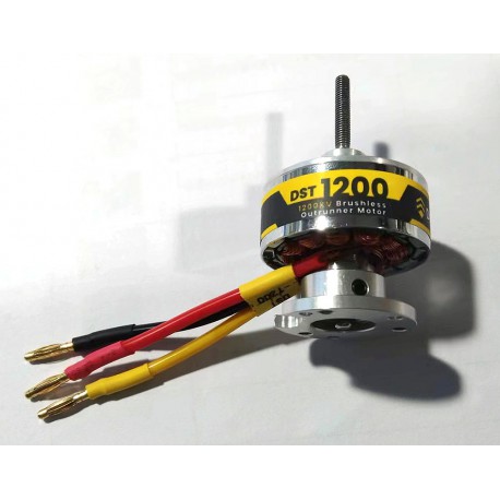 Brushless motor DST-1200