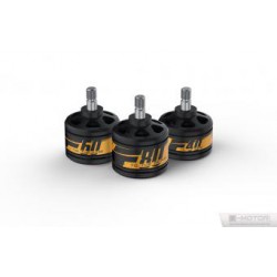 DISC.. Brushless Motors set (2pcs) F60 - 2200kv