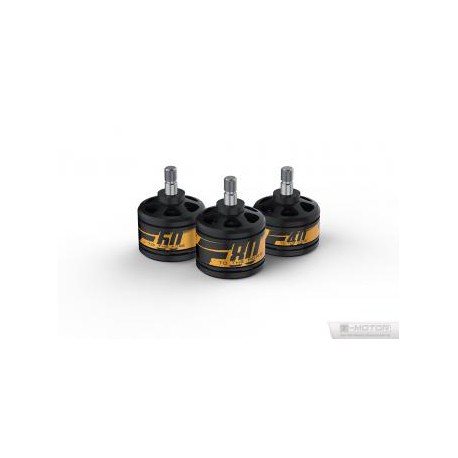 DISC.. Brushless Motors set (2pcs) F60 - 2200kv